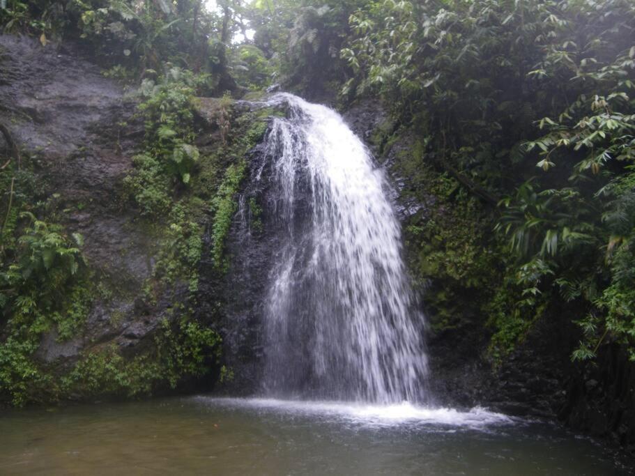Ti' Papaye Anse A L'Ane Les Trois-Ilets Exterior foto