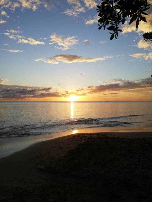 Ti' Papaye Anse A L'Ane Les Trois-Ilets Exterior foto